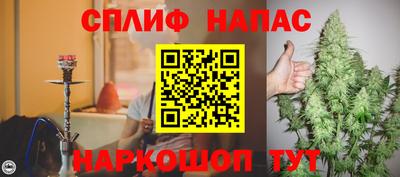 PSILOCYBIN Сланцы